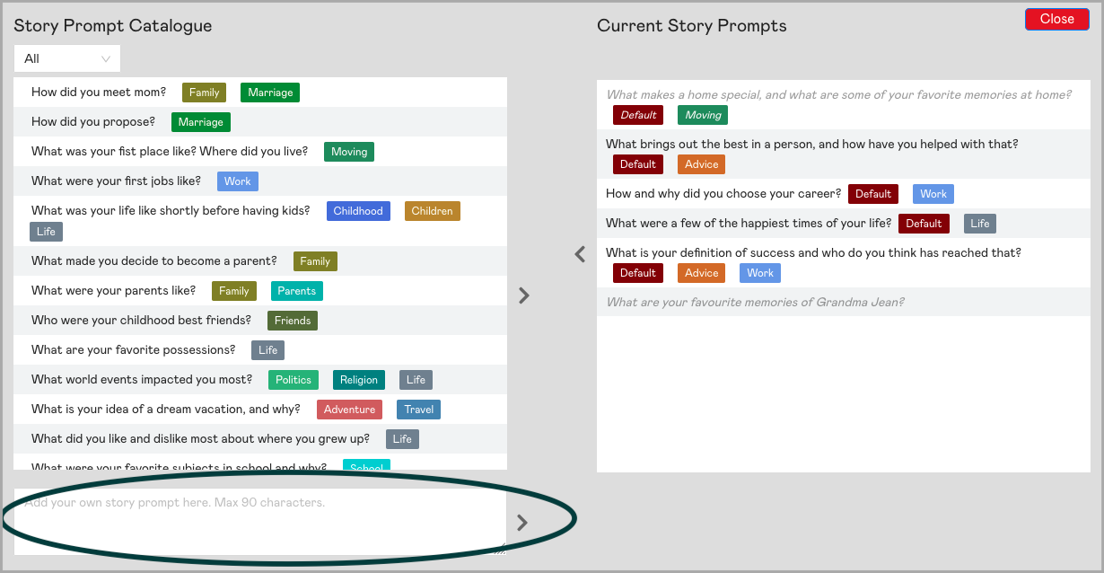 Type your custom Anecdobio story prompt in this field
